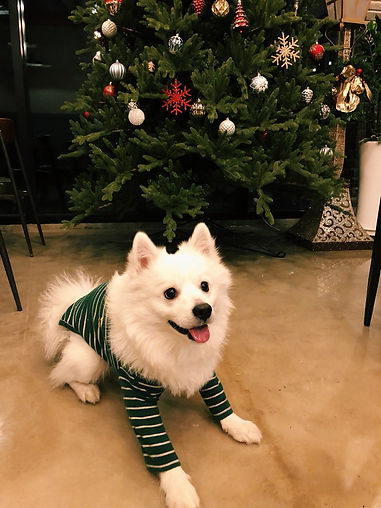 KakaoTalk_20230103_181700219_08.jpg