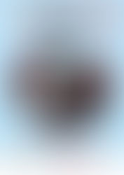 SERATA DI BENEFICENZA PER RACCOLTA FONDI DESTINATI A VIDAS