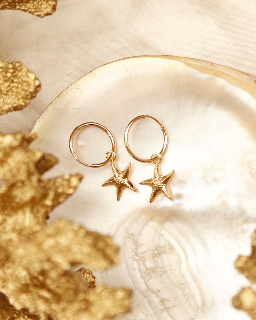 Thumbnail: Star light