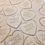 Thumbnail: No Sugar - Sugar Cookies for Dogs Recipe