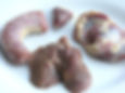 Chicken Organs