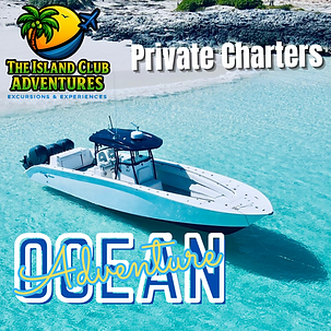 Cape Horn Private Charters Nassau Bahamas