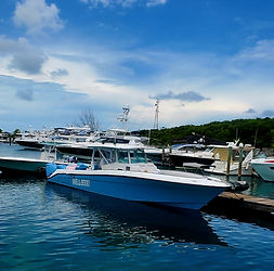 Well&Good 42' HBC Luxury Center Console