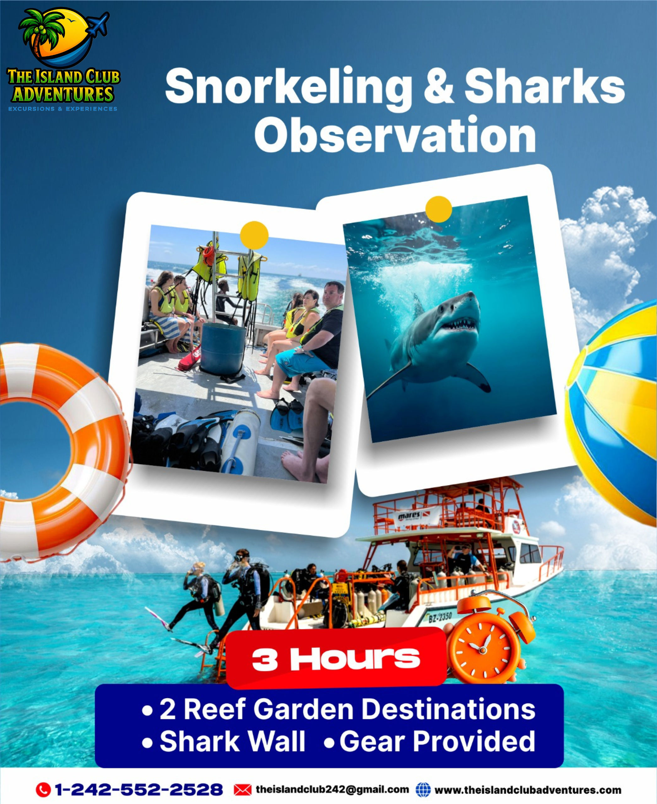 Snorkeling With Sharks