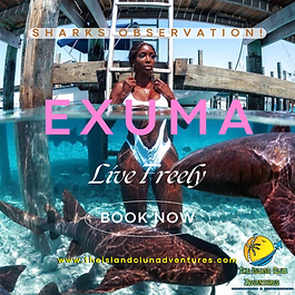 Exuma Adventures