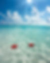 Tropical Secluded Nude Beach