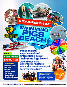 5 In 1 Activities Swimming Pigs