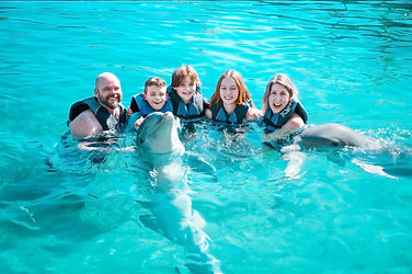 Dolphin Encounter