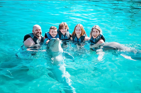 Dolphin Encounter