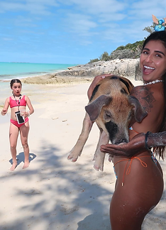 Rose Island Pig Beach