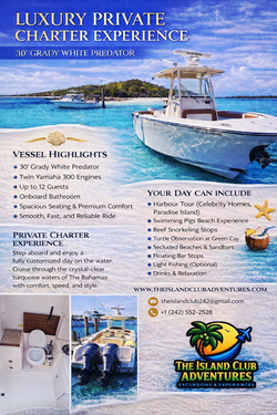 30' FT Grady White Predator Luxury Center Console