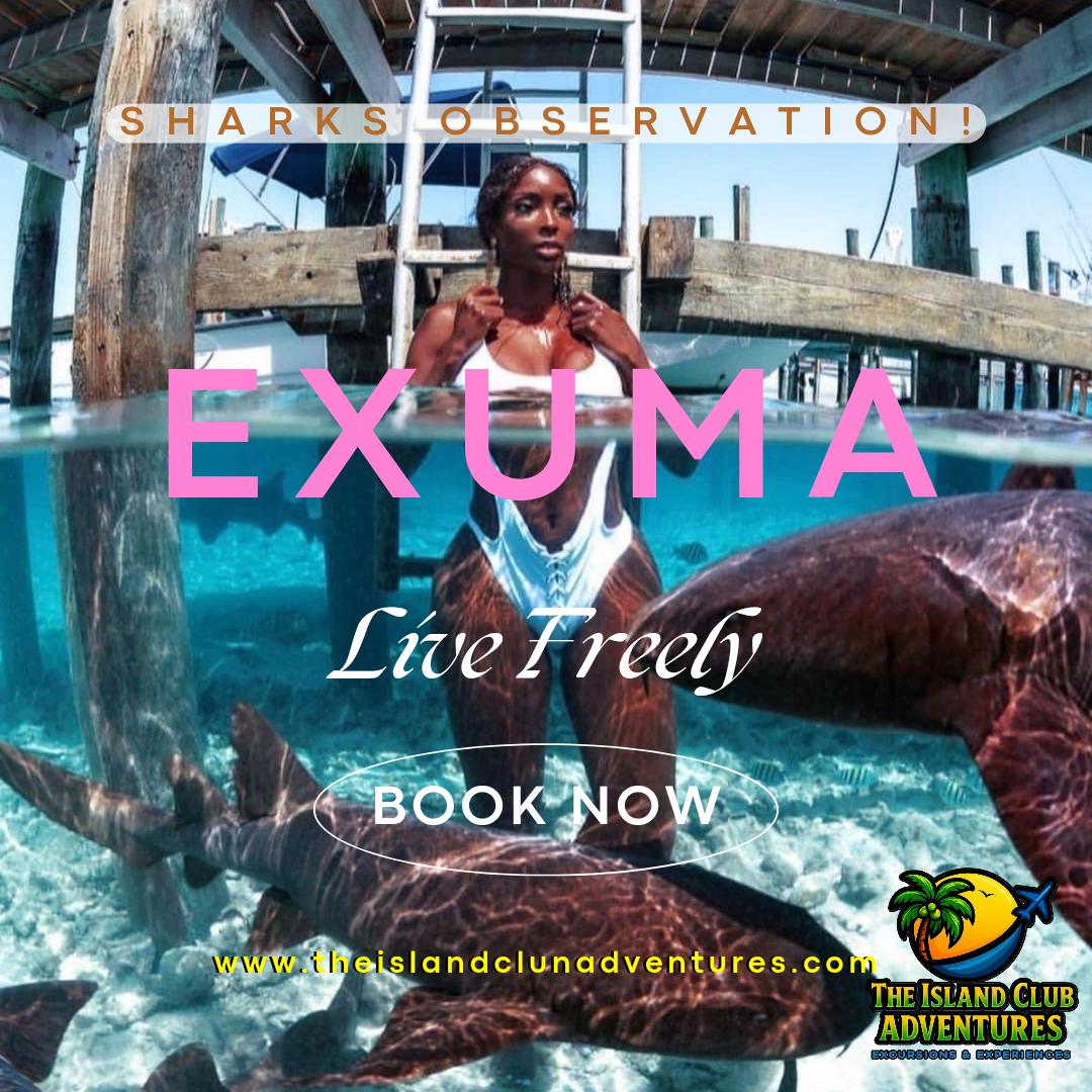 Exuma Powerboat Excursion