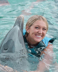 Dolphins In Nassau Bahamas | Blue Lagoon
