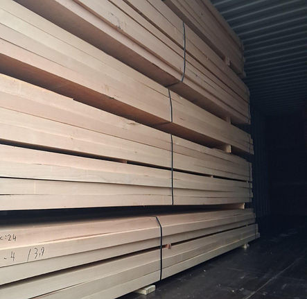 WhatsApp Image 2025-11-17 at 08.44.54 (8).jpeg