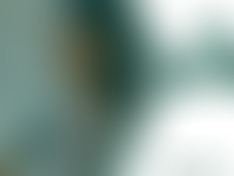 Jornada do Cliente: Como Criar Experiências que Conquistam e Fidelizam