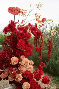 Bold red floral arrangement used for wedding ceremony decoration
