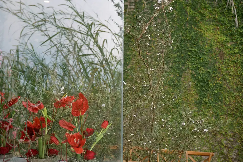 Hoa đỏ trang trí nhìn qua lớp kính trong không gian xanh dịu