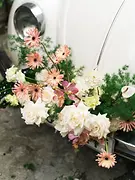 Xe cổ vintage màu trắng được trang trí hoa tươi tinh tế cho ngày cưới ở Sài Gòn