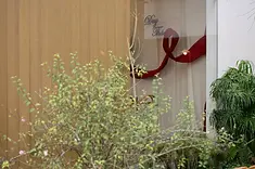 Không gian trang trí trong nhà với điểm nhấn vải đỏ mềm mại