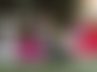 Магия простых ритуалов: связь, память, принадлежность.