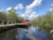IMG_6436.jpeg