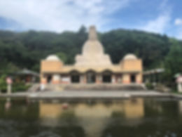 IMG_0238.jpeg