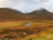 IMG_4130.jpeg