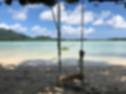 IMG_1703.jpeg