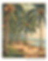 Coir of Kerala | Materials | Field Note No. 002