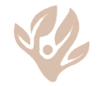 Canopy Logo_edited_edited_edited_edited.
