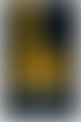 Book cover for James by Percival Everett