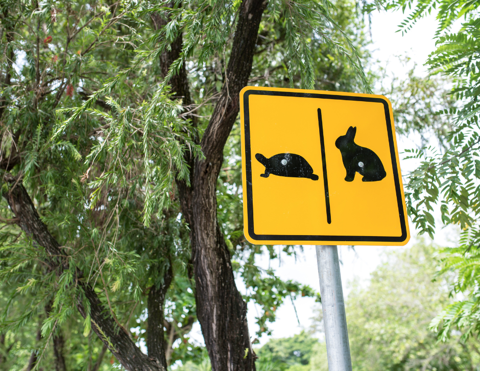 Sign of a tortoise and a hare.