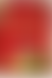 Book cover for The Women by Kristin Hannah