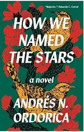 Book cover for How We Named the Stars by Andrés N. Ordorica