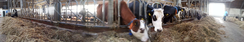 Biologisch voer