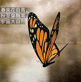 20220908_大自然定律.jpeg