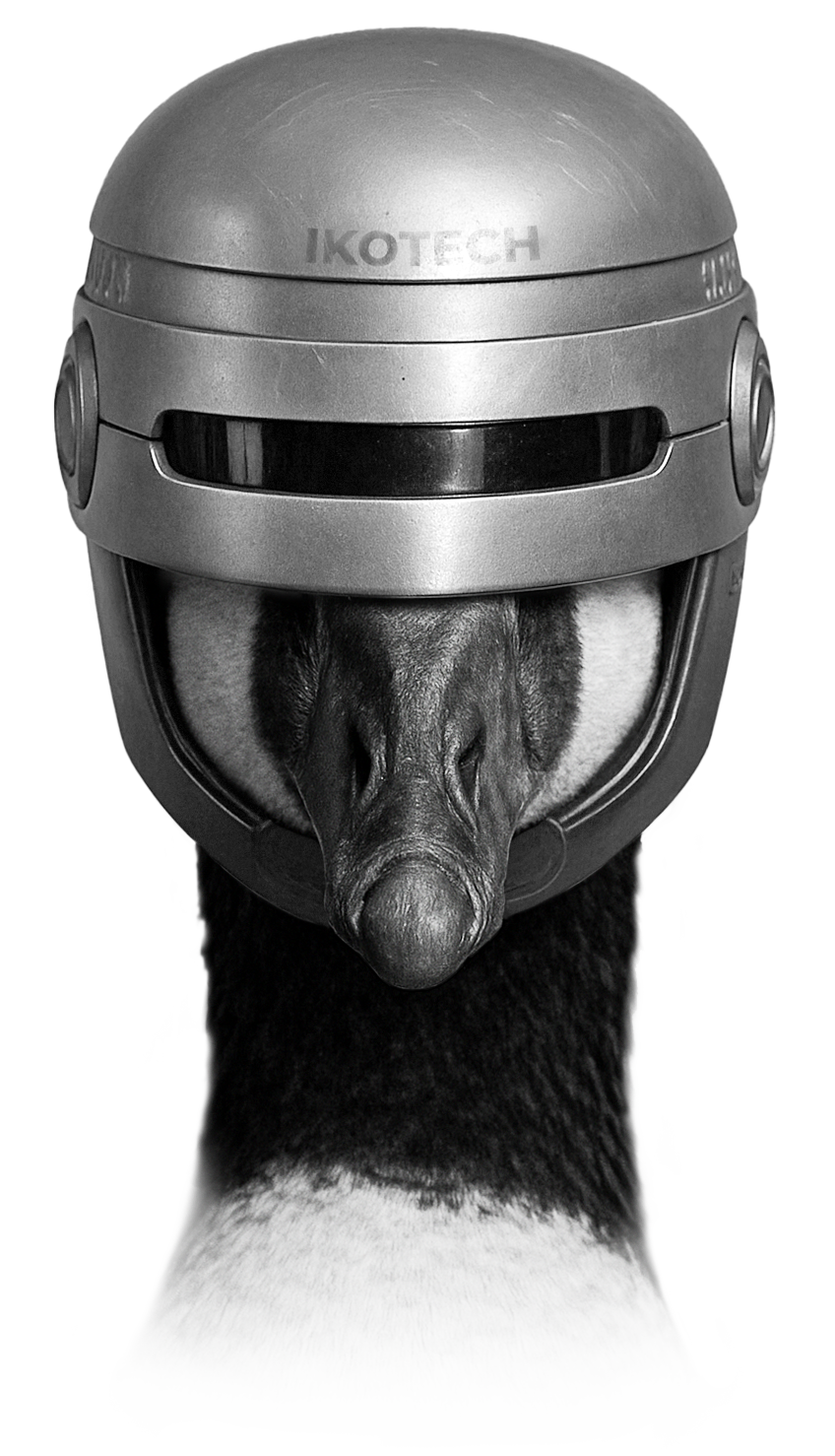 Robo-Goose_Poster2-BW-KO2.png