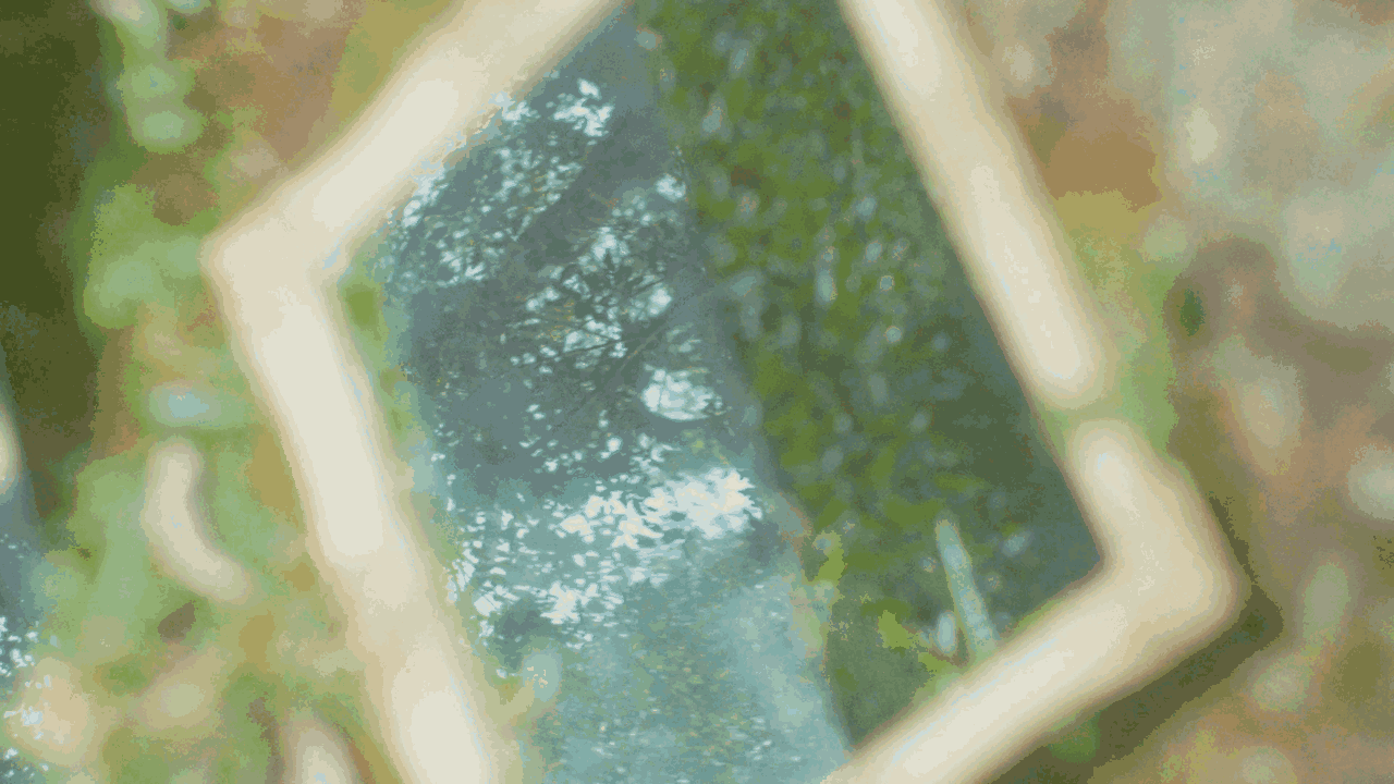 Piti D.gif