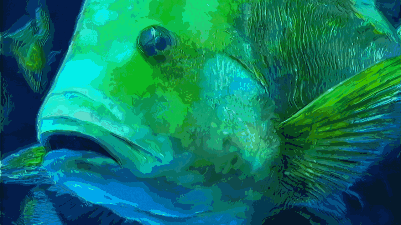 Hidrosonica D.gif