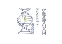 Genom1