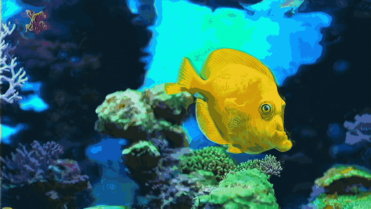 Hidrosonica B.gif
