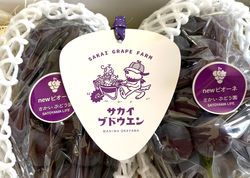 sakaigrapefarm3