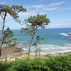 Playa de agua turquesa y vegetación