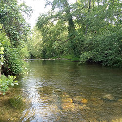 Río tranquilo transparente rodeado de vegetación