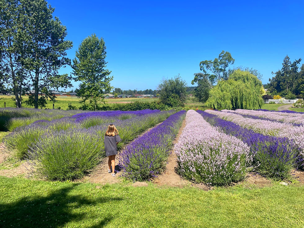 girl in lavender.JPG