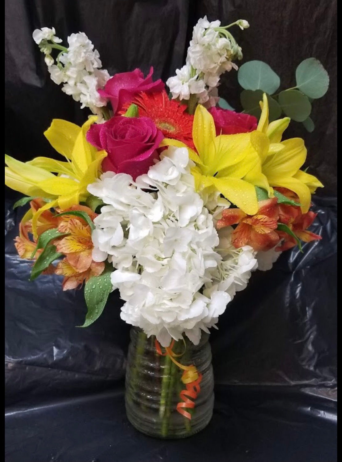 California Dream 20213-A