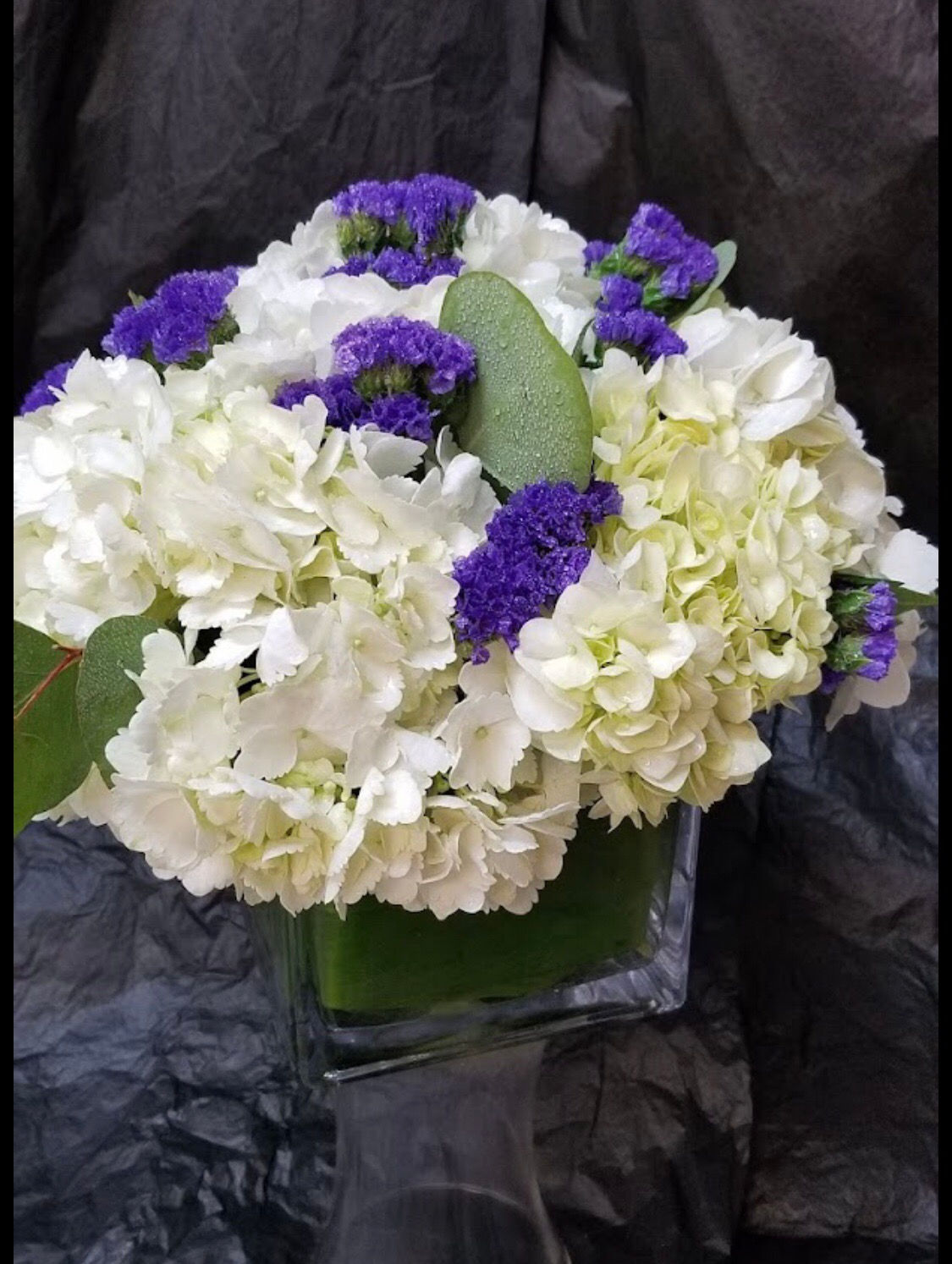 Rainforest Fresh 20212-A