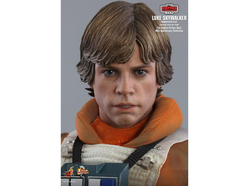 Thumbnail: Star Wars - Hot Toys 40th Anniversary MMS585 Luke Skywalker 1/6 Action Figure