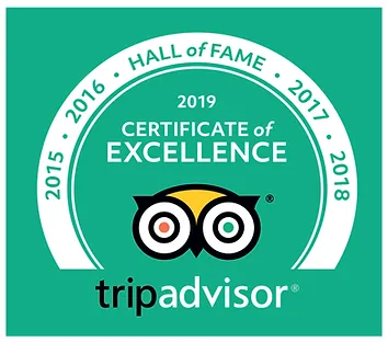 trip advisor.webp