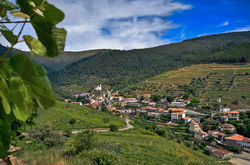 Covas do Douro